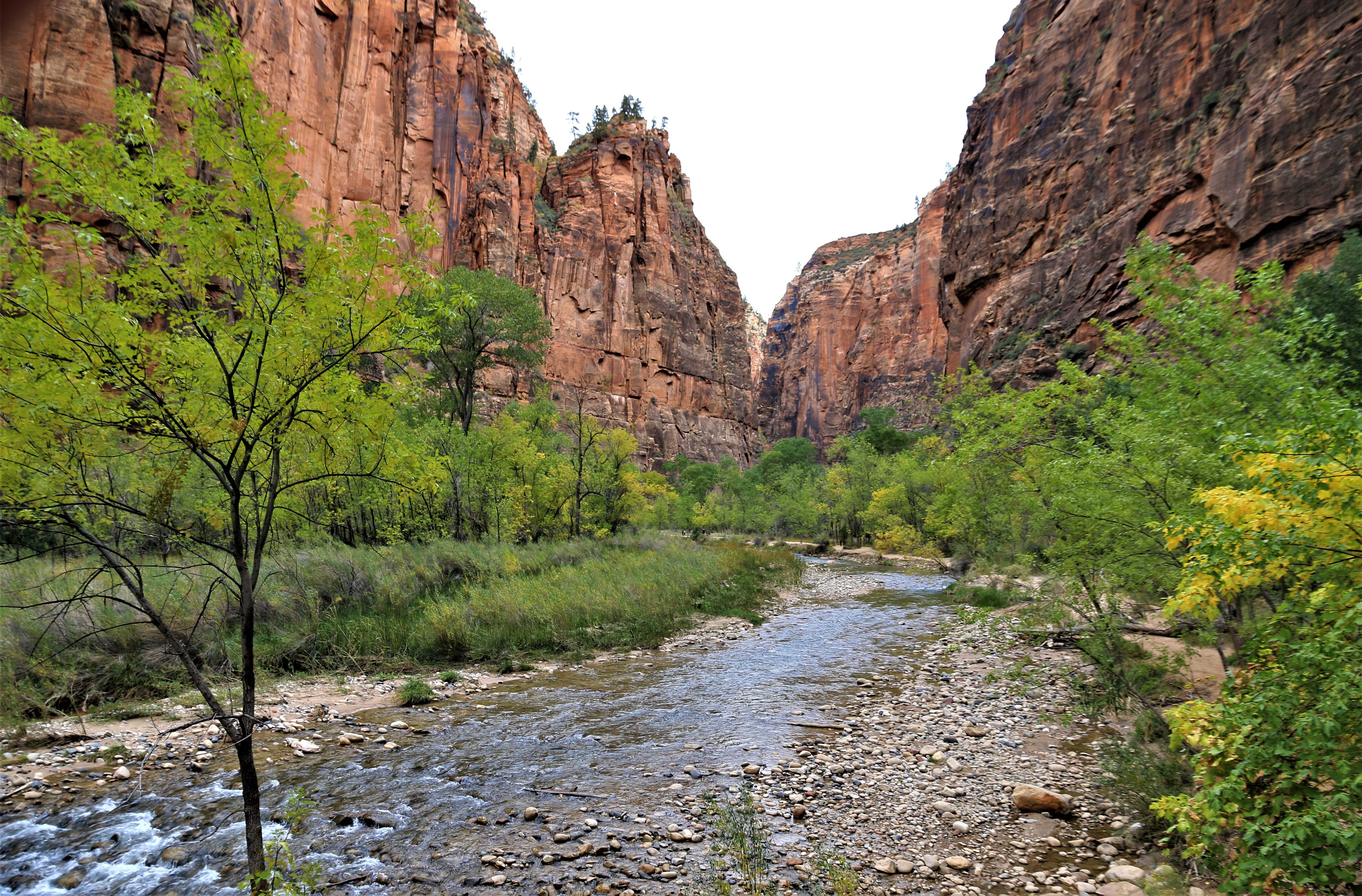 Zion NP